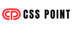 CSS Point Logo 2